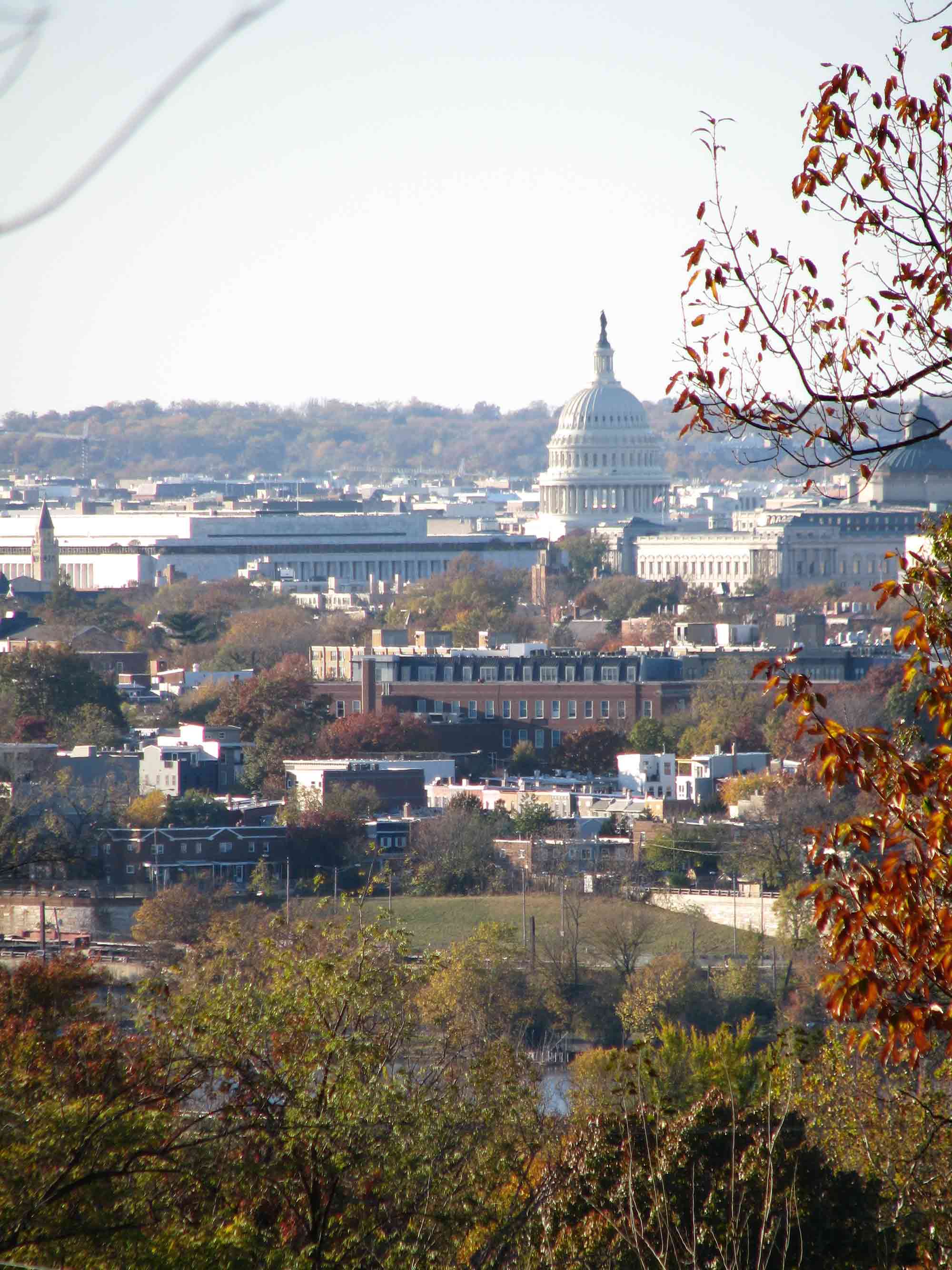 Capital View